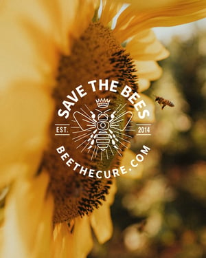 Save the Bees EST. 2014 BEETHECURE.COM